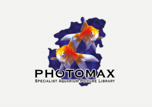 PhotoMax